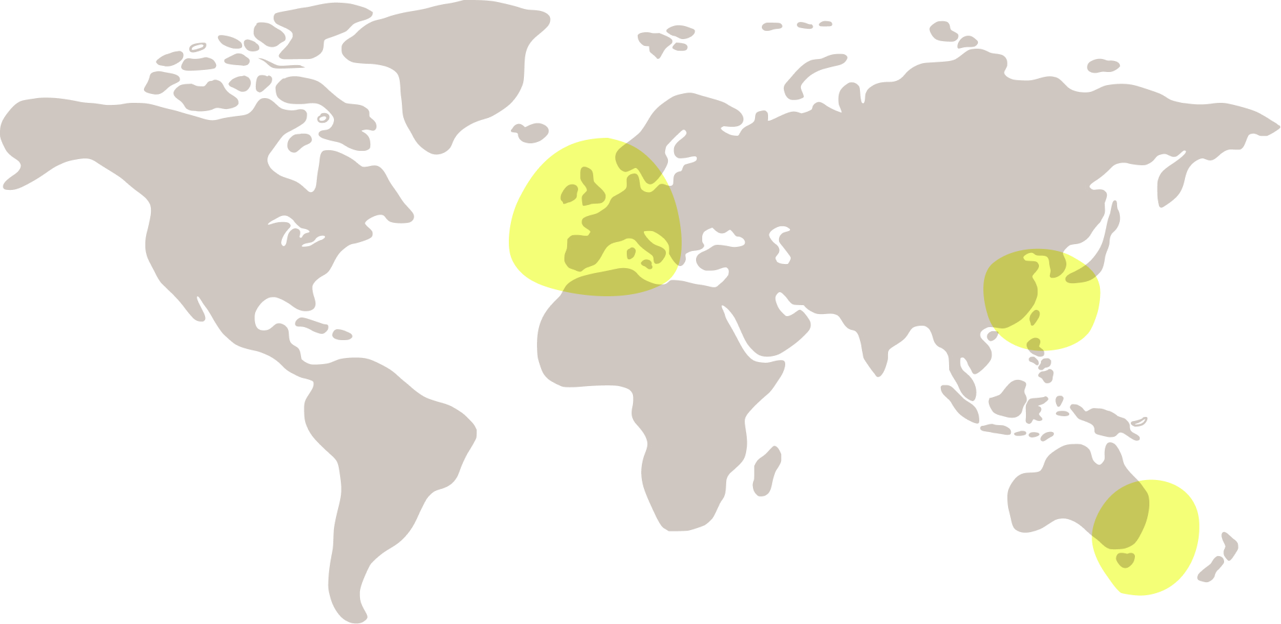 world map